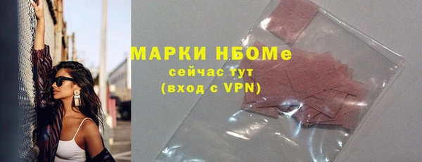 индика Заволжск