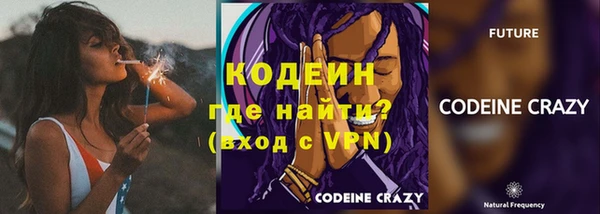 индика Заволжск