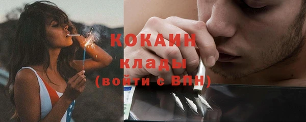 индика Заволжск