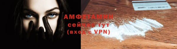 индика Заволжск
