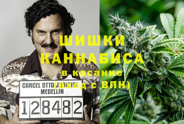 индика Заволжск