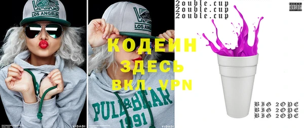 индика Заволжск